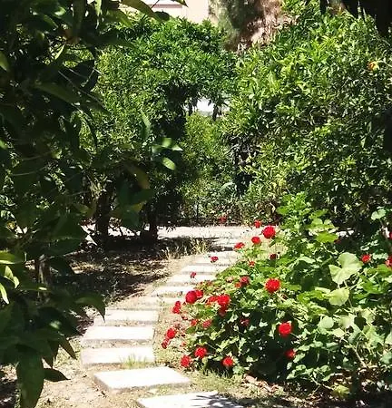 Vero Sicily - Sicilian Garden * باغيريا